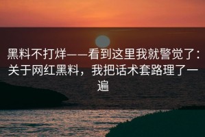 黑料不打烊——看到这里我就警觉了：关于网红黑料，我把话术套路理了一遍