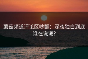 蘑菇频道评论区吵翻：深夜独白到底谁在说谎？